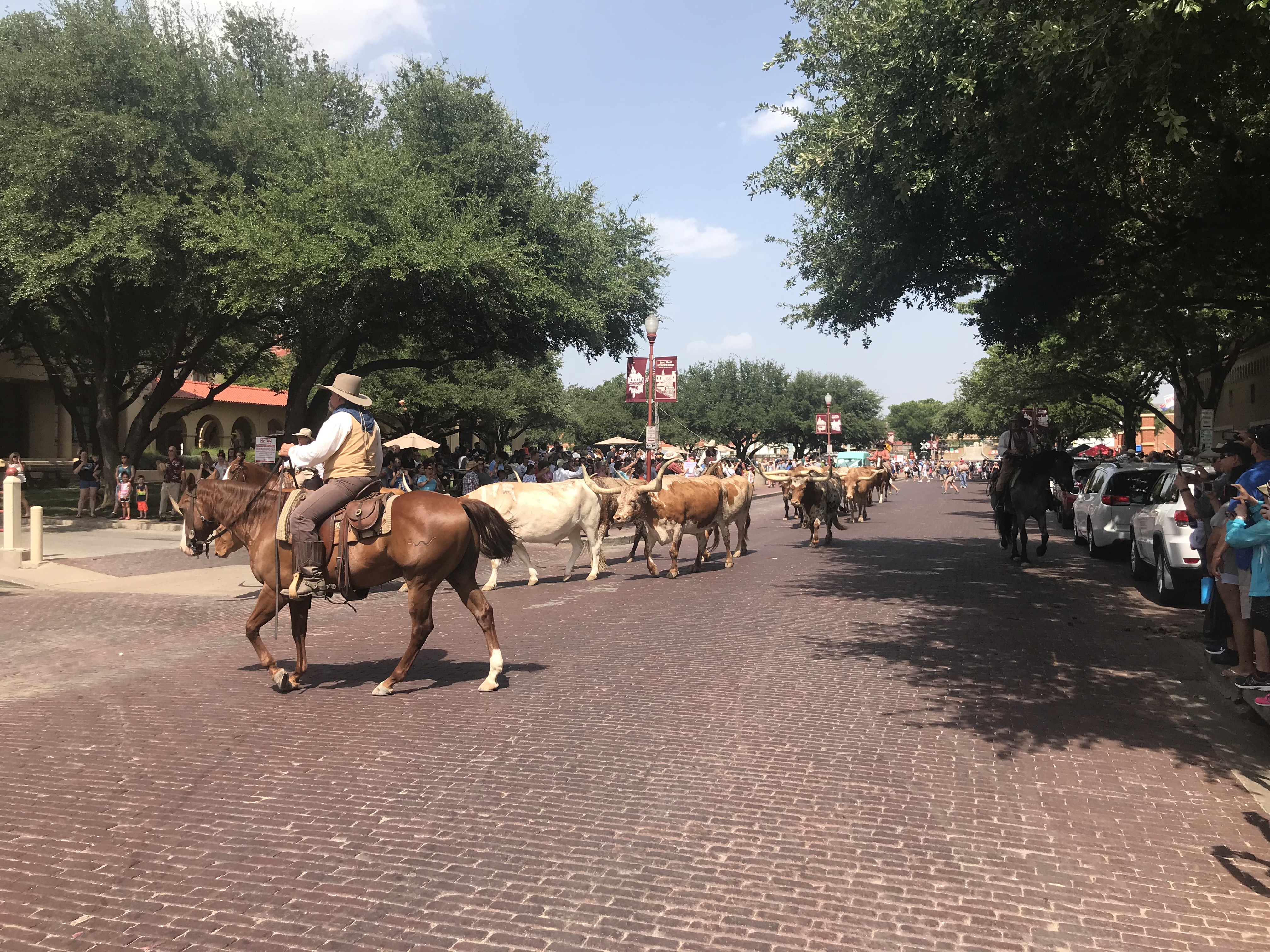 Fort Worth's Stockyards Is So Much More Than Cowboys and Cattle