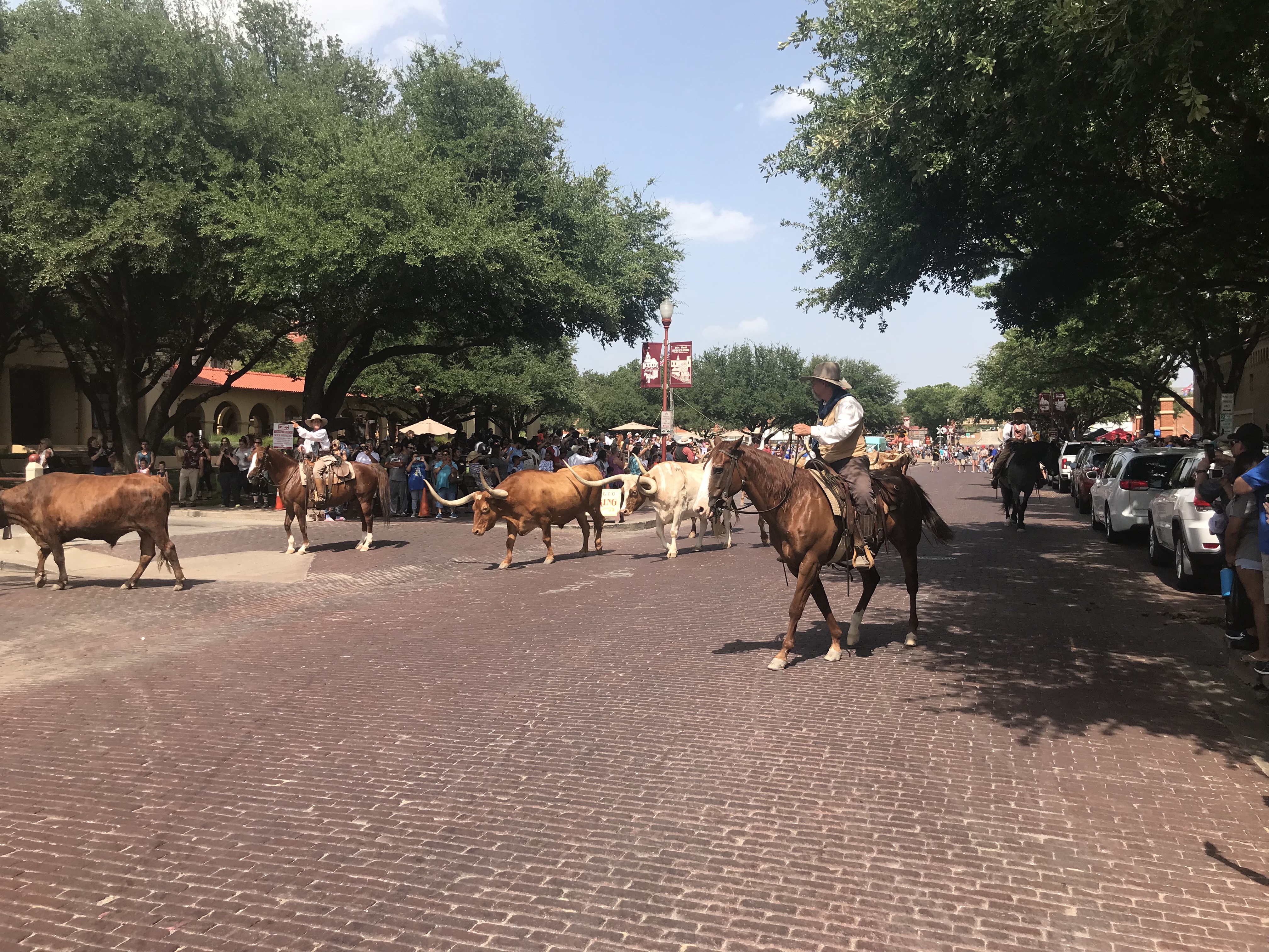 Fort Worth's Stockyards Is So Much More Than Cowboys and Cattle